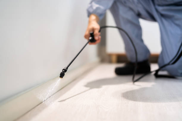 Bed Bug Pre-Treatment Preparation Assessment in Wells