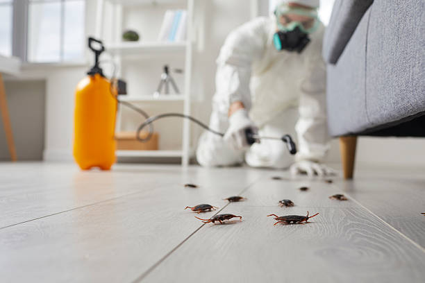 Post-Treatment Bed Bug Interceptor Monitoring in Wells