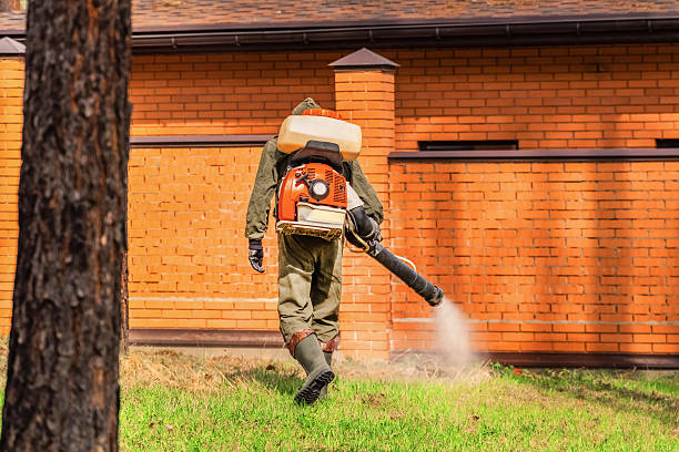Bed Bug Clearance Verification and Documentation in Wells